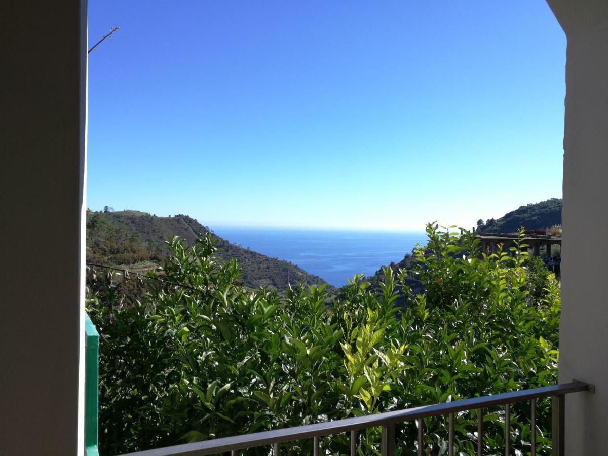 リオマッジョーレ ☆ Terrace & Relax ☆ Casa Franceschin_ Homy 5 Terreヴィラ エクステリア 写真